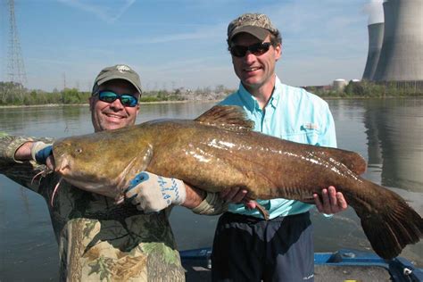 World Record For Flathead Catfish