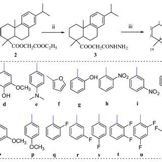 Scheme Synthesis Of Target Compounds Reagents And Conditions I