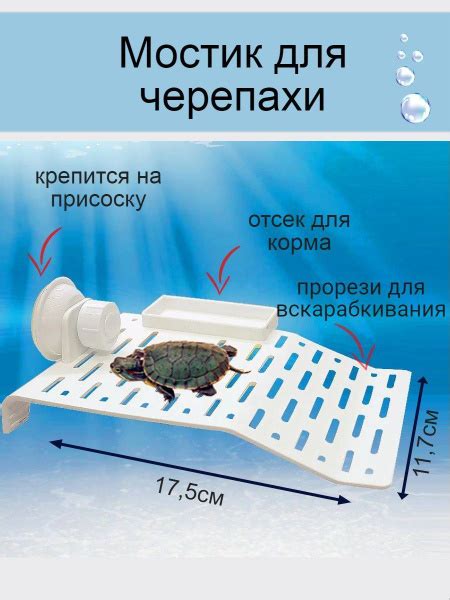 Мостик для черепахи - купить с доставкой по выгодным ценам в интернет ...