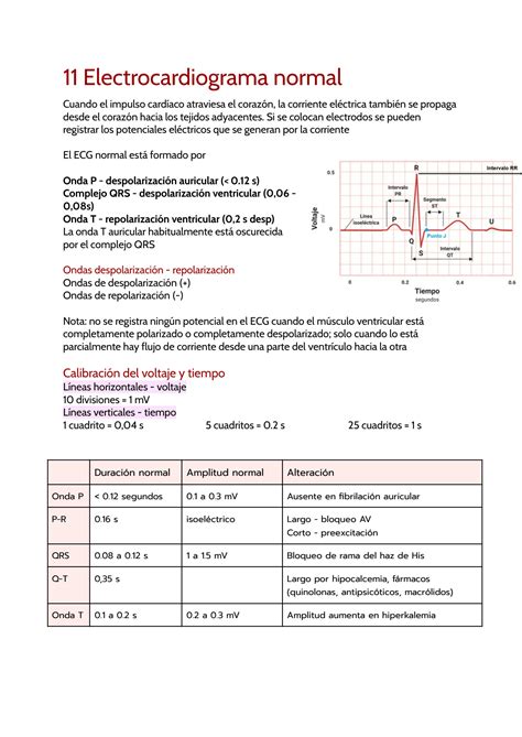 Solution Electrocardiograma Normal Fisiologia Humana Studypool