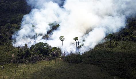 Incendios Forestales En La Amazonía Brasileña Superan Los 70000 En Lo