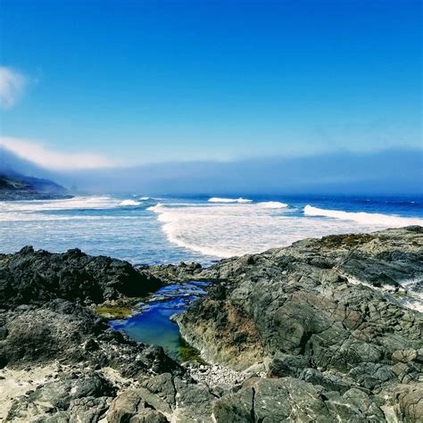 Cape Perpetua Scenic Area Yachats лучшие советы перед посещением