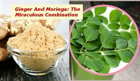 Ginger And Moringa The Miraculous Combination That Fights The