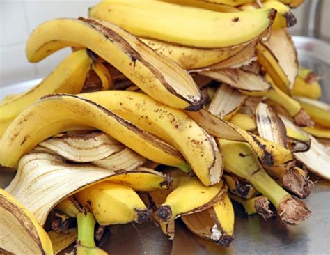 Bananenschalen als Dünger 3 einfache Rezepte und weitere Tipps