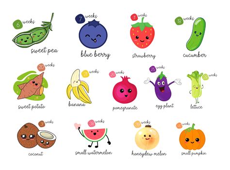 How Big Is Our Baby Week By Week Fruit Sizes For Pregnancy Etsy