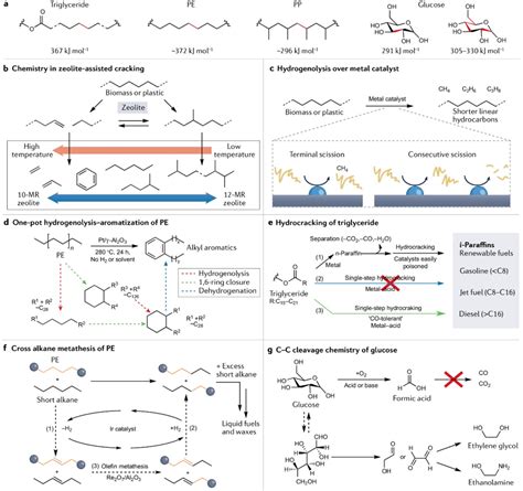 王艳芹 教授nature Reviews Chemistry：同一角度综述生物质与废塑料的催化转化，如何相互借鉴？