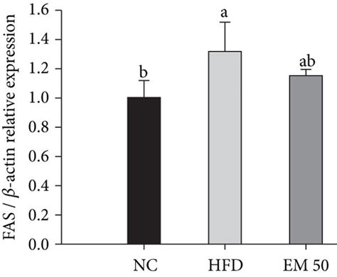 Hepatic Protein Expression Levels Of Hmgcr B Pparγ C And Fas D Download Scientific