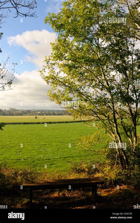 A View From Disusedpartially Used Restored Railway Cycle Path Between