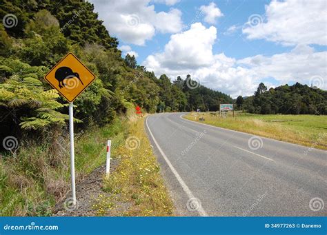 Panneau Routier Jaune D Oiseau De Kiwi Au Bord De La Route Image Stock