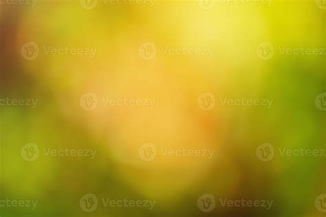 Defocus Light Green Yellow Red Orange Blurred Autumn Tree Background