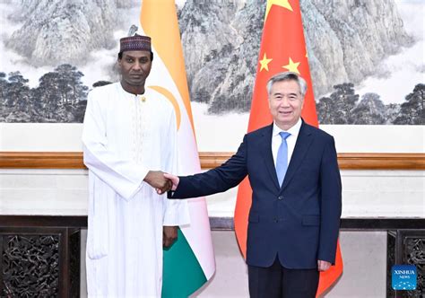 FOCAC Senior CPC Official Meets Nigerien Prime Minister Xinhua