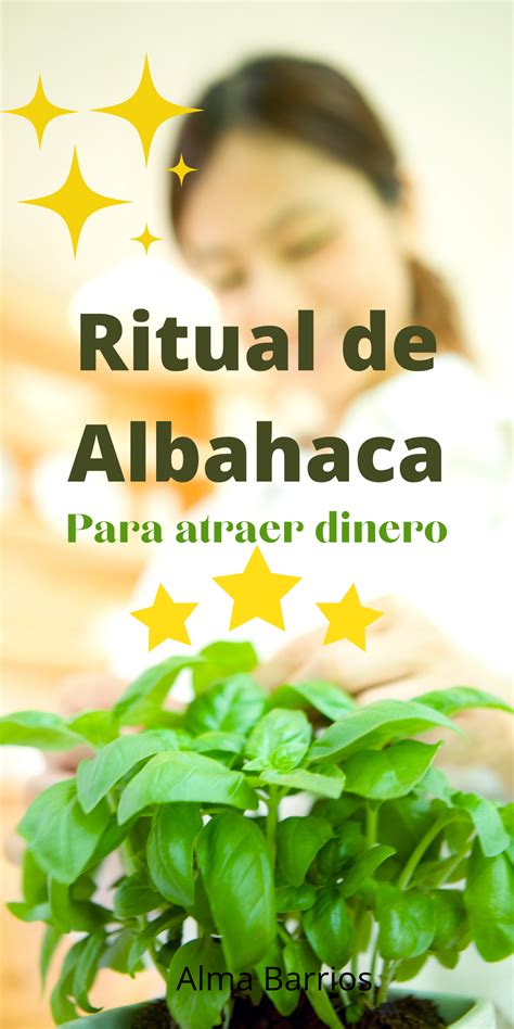 Las Hierbas Como La Albahaca Pueden Hacer Que Un Ritual Para El Dinero