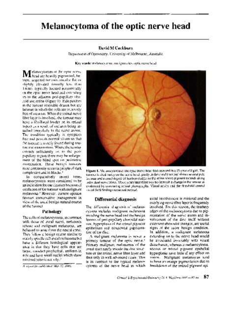 Pdf Melanocytoma Of The Optic Nerve Head Juan Orellana