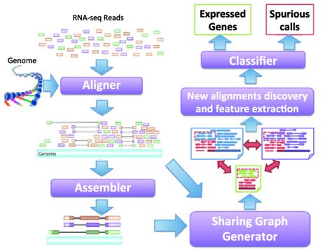 The Workflow Of Genescissors Pipeline The Traditional Rna Seq Analysis