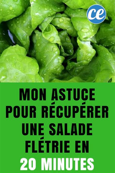 Mon Astuce Pour Récupérer Une Salade Flétrie en 20 Minutes