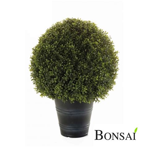 Umjetni Buxus Bux Visina Cm Sa Uv Za Tito Bonsai Dekor