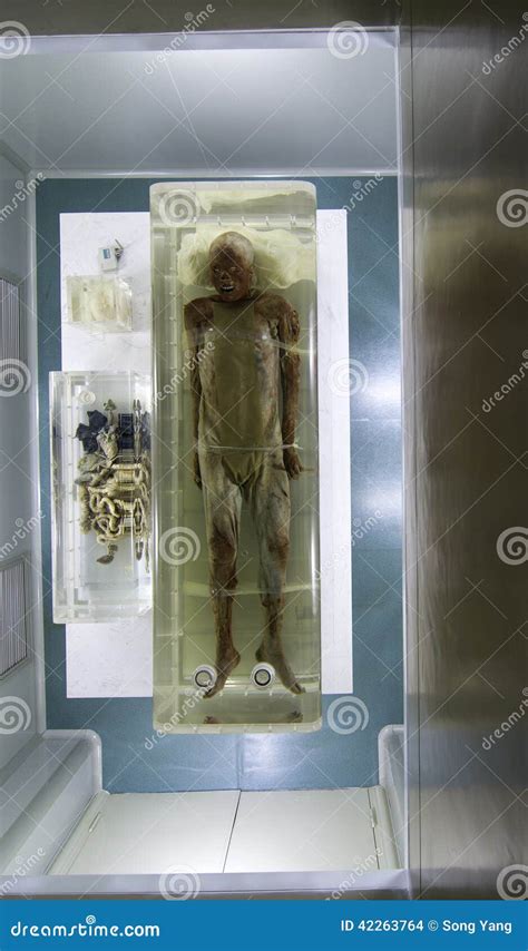 Chinese mummy stock photo. Image of body, china, antique - 42263764