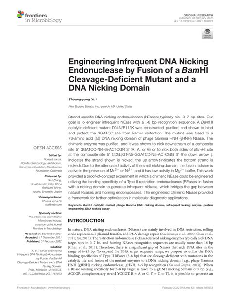 PDF Engineering Infrequent DNA Nicking Endonuclease By Fusion Of A