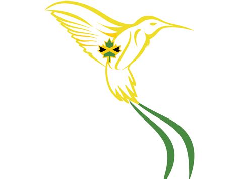 Clipart Doctor Bird Clipart Doctor Bird Transparent Free For Download