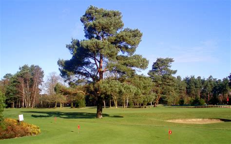 Pine Ridge Golf Centre Surrey Reviews Scorecards Green Fees