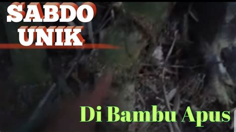 Mbolang Bonsai Bambu Sore Hari Dikasih Bambu Unik Sabdo YouTube