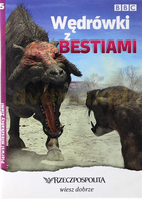 Film DVD Pierwsi mieszkańcy Ziemi 5 Wędrówki z Bestiami DVD Ceny i