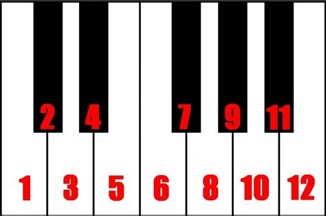 The Fastest Way To Learn the Piano Notes - Learn How to Play Piano Visually with Color Score