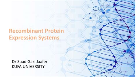 Pdf Recombinant Protein Expression Systems