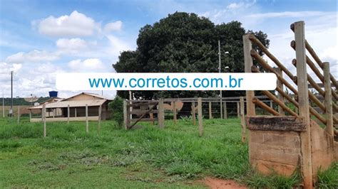 Fazenda para Venda Monte Alegre de Minas MG bairro área total 17