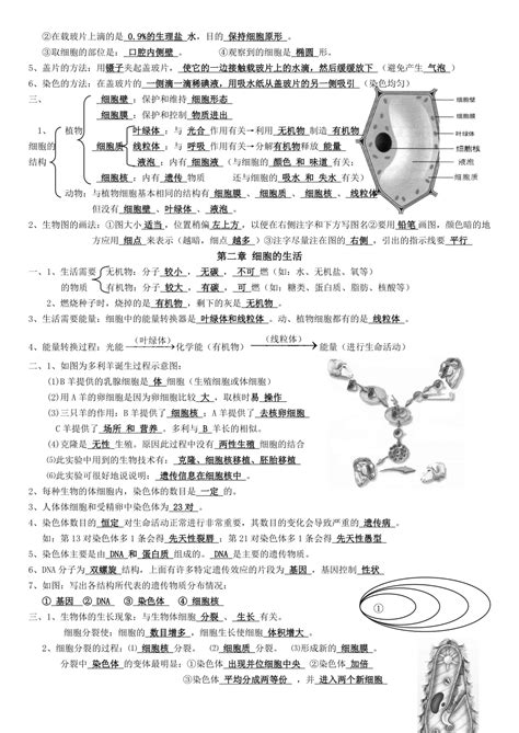 人教版七年级上册生物知识点归纳下载8页七年级果子办公