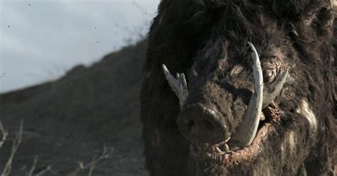 The Best Killer Creatures Within The Movies Showbizztoday