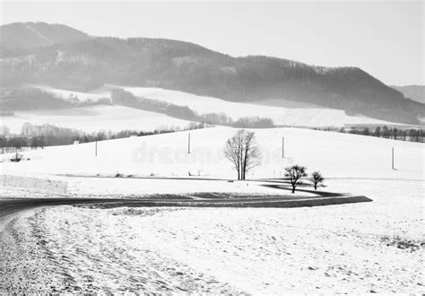 Winter Landscape in Black and White Stock Photo - Image of grey, hills ...