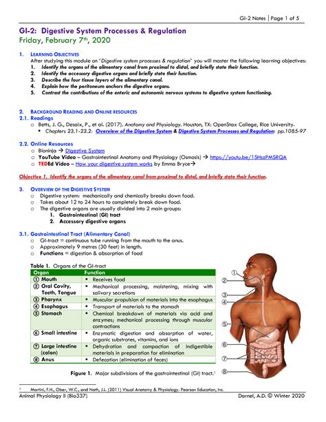 Intro To Digestive System Aandp Lecture Notes 2 Gi 2 Digestive