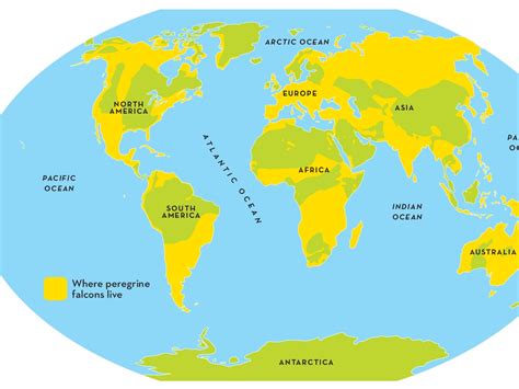 Peregrine Falcon Habitat Map