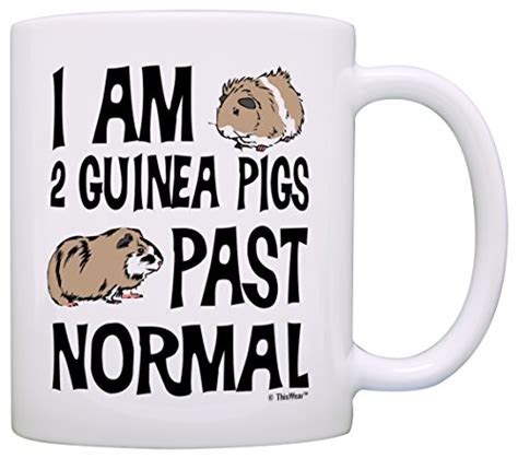 21 T Ideas For Guinea Pig Lovers The Pet Supply Guy