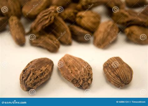 Cardamom seeds stock photo. Image of ingredient, seed - 6886124