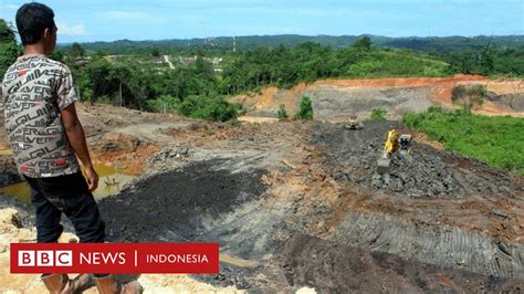 Dituduh Ilegal Dua Perusahaan Tambang Batu Bara Dilaporkan Ke KLHK