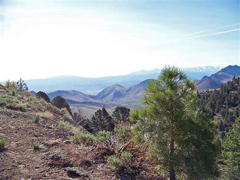 Ebbetts Pass Scenic Byway Monitor Pass National Scenic Byways On