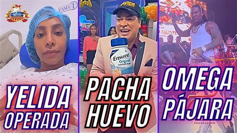 Yelida Operada Entera Pacha Pone Huevo Omega Pajar Simo Breves Y