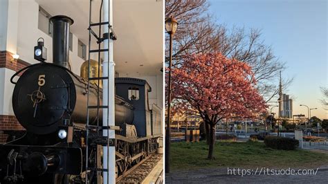 東武博物館へ行き、帰りに汐入公園の河津桜を見る いつおで