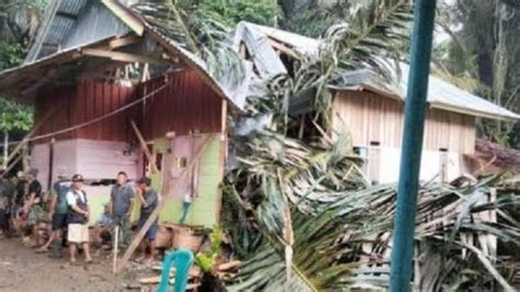 Pohon Kelapa Tumbang Timpa Rumah Warga Di Kupang Bocah 5 Tahun Tewas