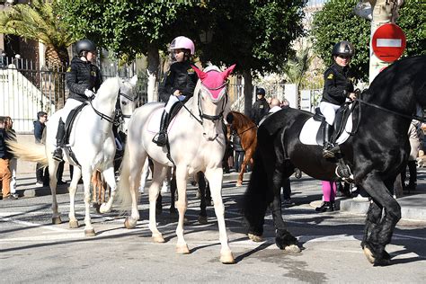 Els Tres Tombs L Acte Central De Les Festes De Sant Antoni Revista