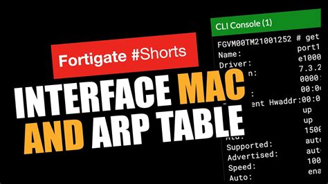 Interface Mac Address And Arp Table Shorts Youtube