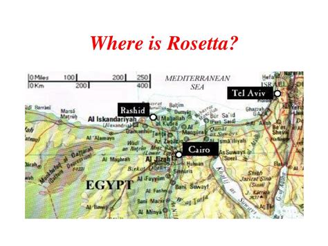 PPT - The Rosetta Stone PowerPoint Presentation, free download - ID:6447092