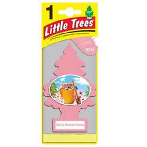 Little Trees Cherry Blossom Honey Air Fresheners 24 Per Box Car Wash Superstore