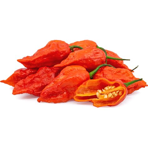 Chili Naga Red (KG) – Bravo Fine Foods Hong Kong