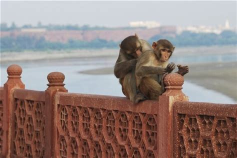 Agra Travel Guide | U.S. News Travel