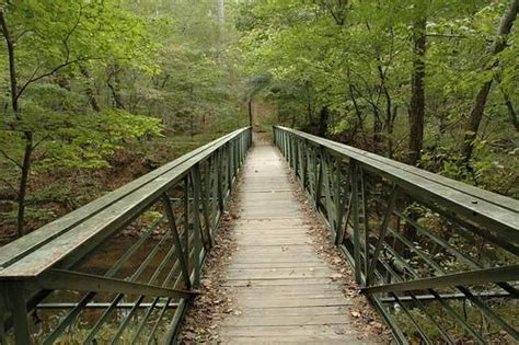 William B Umstead State Park - Parks in Raleigh NC | State parks, State ...