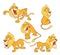 Set Of Cartoon Illustration A Funny Yellow Lions For You Design Stock