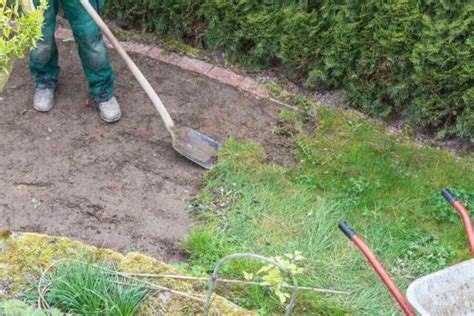 Jak założyć rabatę Krok po kroku Mój Ogródek DIY